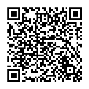 那巨树之森之中乃是由一颗颗高达百米以上的巨大树木构成的森林二维码生成