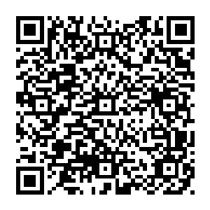 那巨鸟激射而出的金色鸟羽便跟那巨型蜈蚣身上激射而出的血色触手撞击在了一起二维码生成