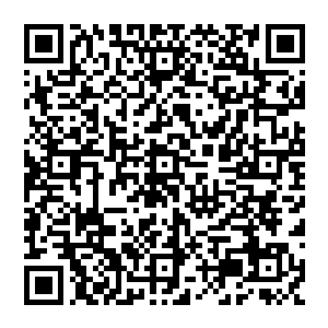 那已经初步成型的传送门居然被楚旬这几乎燃尽自己所有力量的一击给硬生生的砍出了一道裂缝二维码生成