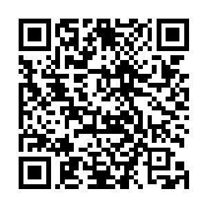 那已经完全化为了楚旬模样的真灵力量也渐渐化为了金色二维码生成