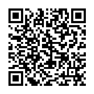 那已经退远了一些的血妖姬们和卯荼同时注视着的斑斓珠子二维码生成