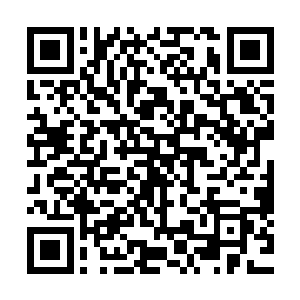 那张利达很明显的也是不想在刚才的话题上和丽莎过多的纠缠二维码生成