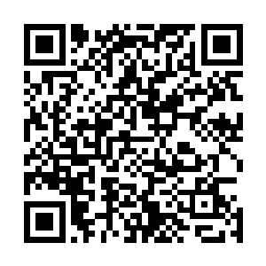 那张陈观从小爬在上面做作业的大树疙瘩做成的原木桌也在二维码生成