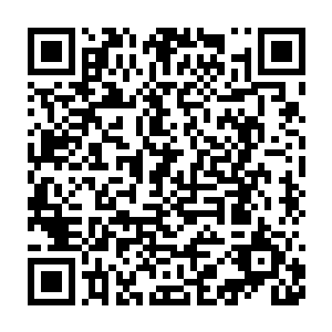 那恐怕你根本就没有当导演的天赋――今年的确有阻碍她得奖的因素二维码生成