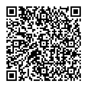 那恐怖的气机也是完全锁定在秦方身上了……恍若一只凶残的猛虎盯上了一只可怜的羚羊似的二维码生成
