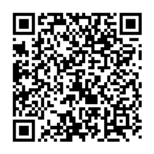 那恐怖绝伦的气息就完全释放了出来的……那是一股恐怖无比的气息二维码生成