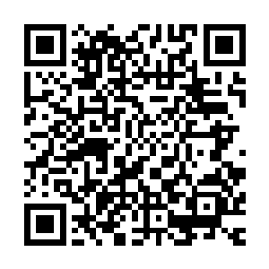 那惨兮兮的模样便是他这样一个年过半百的大男人都于心不忍二维码生成