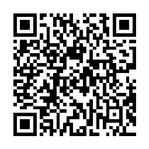 那惨烈的战场让他们回想起两百年前与墨族的殊死血战二维码生成