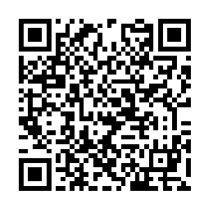 那我也就不用装模作样地明媒正娶地从萧家那娶你二维码生成