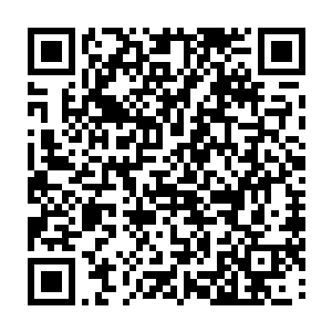 那我们到底是要先去寻找玉衡复活你母亲呢还是先去帮你寻回命魂四魄呢二维码生成