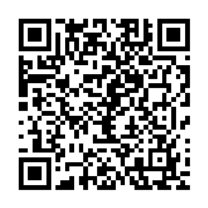 那我们还会不会在第一时间以死者的问题来带过衙役的问题呢二维码生成