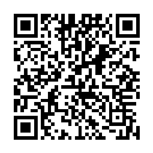 那我倒是不介意带你们继续闯下去……不过你们可要想好了二维码生成