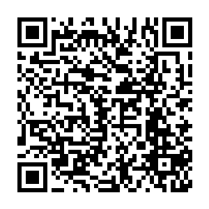 那我先把我们现在整理归纳的最重要的一部分报表今天先核对了吧二维码生成