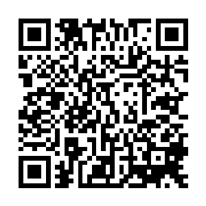 那我姑且一问……和此刻你那位西蒙前辈所表现出的战斗力相比二维码生成