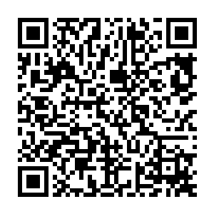那我就把这消息告诉族里――不过会有许多人失望呢……包括你的表姐二维码生成