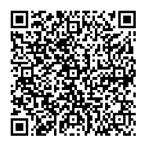 那我就暂时也做一次你要寻找的东西……等下我会当着你的面用三十秒的时间钻入到这片灌木丛中去二维码生成