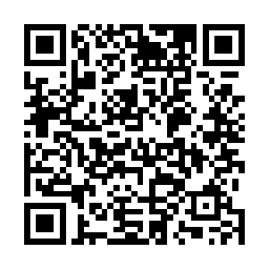 那战无为已经派遣了圣域小圆满强者在路上准备伏击你们二维码生成
