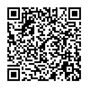 那戚家的旁系族人在吹过警哨之后却发现对方的脸上没有任何的紧张之色二维码生成