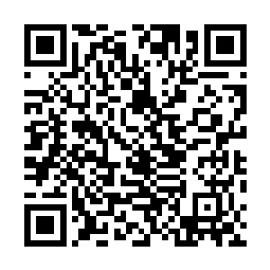 那扇真正的仓库大门乍看之下和一般的防盗门没什么两样二维码生成