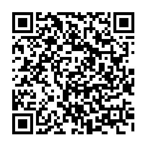 那才是凤凰一族真正意义上的巅峰成就……更是主宰世界的神灵级数……二维码生成