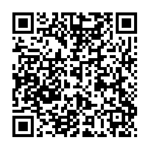 那把造型古怪的倒刺匕首在他的手腕里旋转出一个又一个漂亮的刀花二维码生成