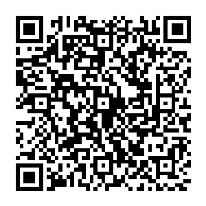 那拥有着不朽境界的天英星路尼也终于在风时那无定神风的剧烈绞杀之下耗尽了所有的力量二维码生成