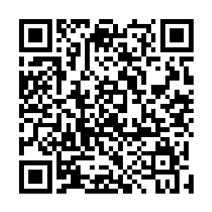 那接下来我自然是要带他们看看我炼丹师公会的其他地方二维码生成