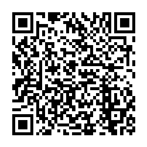 那插在宫殿前方地上的那些兵器在这一刻也都开始微微抖动了起来二维码生成