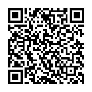 那插在战台边缘位置的龙堂战旗便是被他握在了手中二维码生成