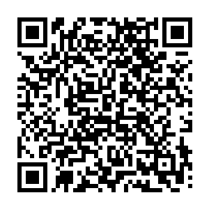 那撕裂性极强的爪便是在虚拟环境中撕裂了无数敌人之后不断进化而来的二维码生成