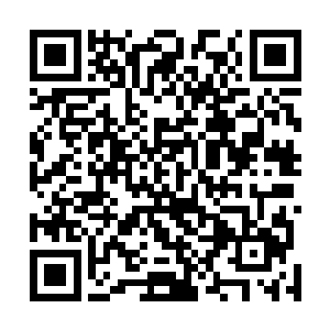 那放在自己母亲手臂上的双手已经开始出现了轻微的抖动二维码生成