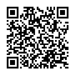 那散落在各处的衣物证明着昨夜两人经历过怎样一番纠缠二维码生成