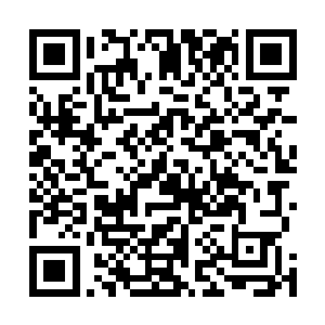 那数十枚激射而来的炮弹几乎还没靠近便被他们凌空引爆二维码生成