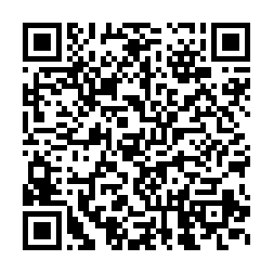 那无数的尸君几乎还没有再一次围上来便已经被剧毒完全的淹没了二维码生成
