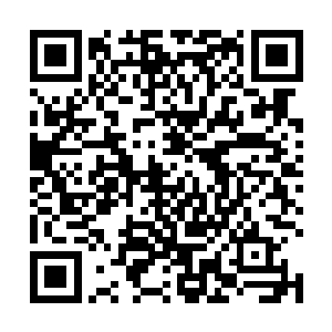 那无数道目光看着从他们头顶上爆冲过去的一支支队伍二维码生成