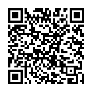 那无论如何是不可能耗得过地心世界这无穷无尽的虫族的二维码生成