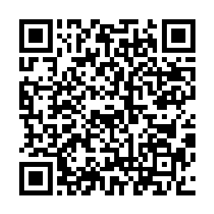 那无音完全可以跟他描述一下十万亿丈以上到底是什么样啊二维码生成