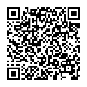 那时候的凌彩衣是容易的未婚妻……每次想到要嫁给这种幼稚呆笨的二傻子二维码生成