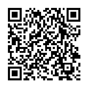 那时她所有的生活就是在简单的剧情世界里做一点简单的任务二维码生成