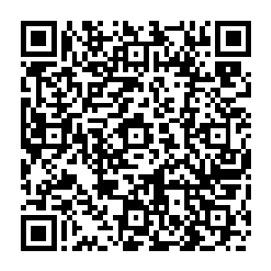 那是一个神奇的人皮面具戴在脸上沒有任何的存在感但是却能让你变成另外一个模样二维码生成