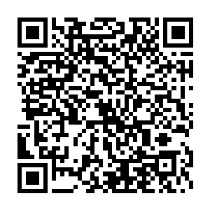 那是一盆很大很大的狗血……另外男主问题……约莫还有小几万字二维码生成