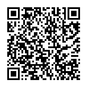 那是一种哪怕在至尊之位也无法抵御的对于生命流逝的无奈与惧怕二维码生成