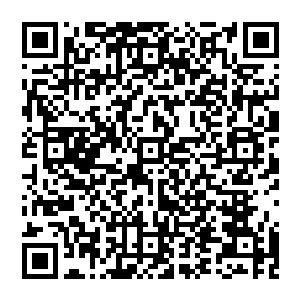 那是一种灵魂的悸动无数全新的法则以及规则顺着大门的裂缝席卷而來可随之出现的则是灵界的加速崩溃二维码生成