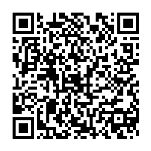 那是不是说明我和陈景皓其实在不知不觉之中已经回到了我们的时代了二维码生成