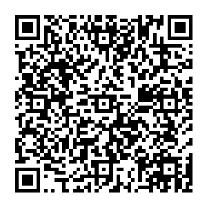 那是因为他实在无法相信平日里那么威风凛冽的秦崇聿如今竟然被这帮混蛋折磨得跟个半死人一样躺在病二维码生成