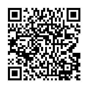 那是因为他已经看到了在公墓的最左侧有一排排列整齐的别墅群二维码生成