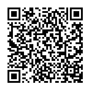 那是因为魔族如今已经知道人族这次大规模的行动是因为人族的超级家族大比二维码生成