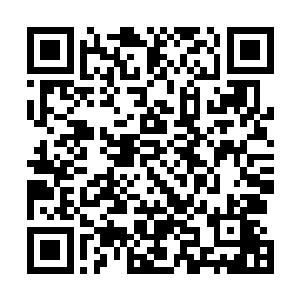 那是撕破白骨公爵领域时双方领域力量的激烈碰撞与摩擦二维码生成