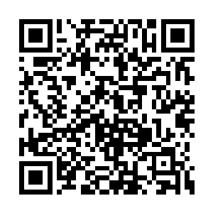 那是杨开最初在下位面星域试验时炼制的一界珠二维码生成