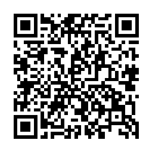 那是正好经过这一片区域的天罗系列卫星实时转播的画面二维码生成